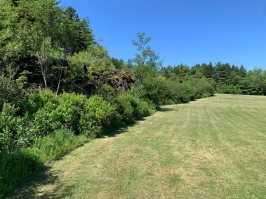 View details of this property