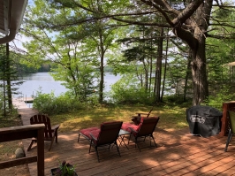 View details of this property