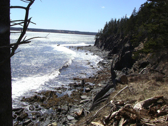 Nova Scotia Real Estate - Fetlzen South Oceanfront