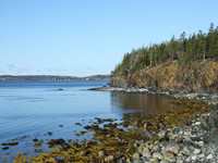 Nova Scotia Real Estate - Fetlzen South Oceanfront