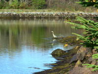 Lunenburg Real Estate - Seaside Farmhouse