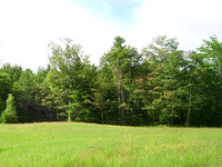 Nova Scotia Real Estate - Mahone Bay Building Lot