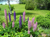 Nova Scotia Real Estate - Lunenburg Oceanview Home