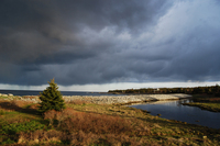 Nova Scotia Beach House